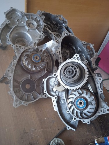 Revisione cvt burgman - revisione, 650